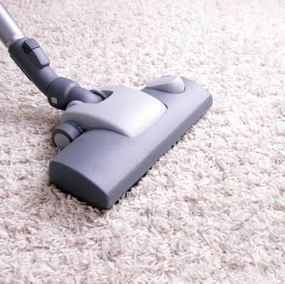 How to Clean Barf Out of Carpet