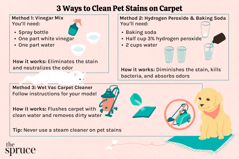 How to Clean Carpet With Hydrogen Peroxide: Ultimate Guide