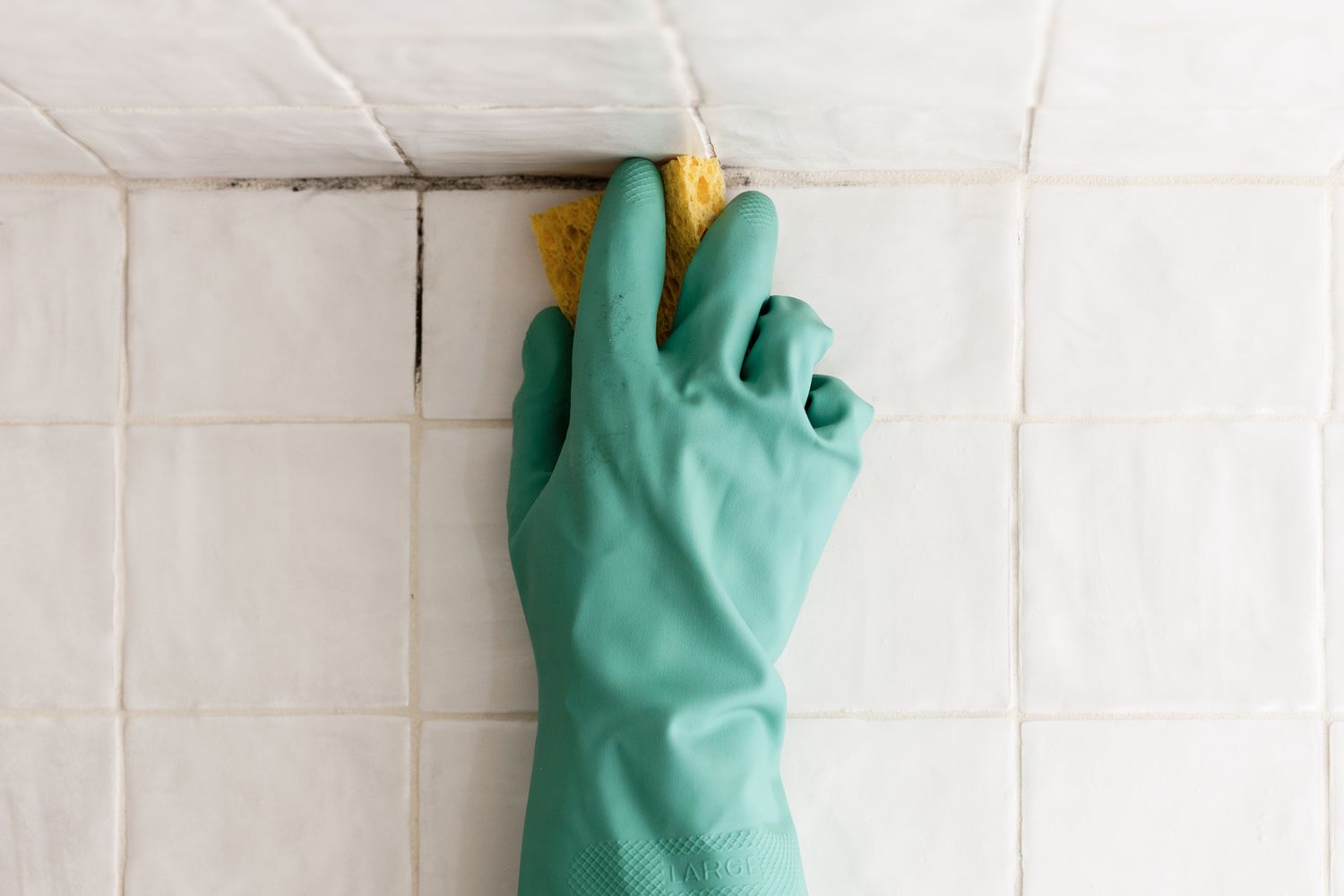 How to Clean Mold off Ceiling in Bathroom