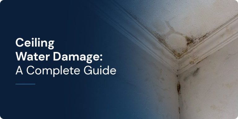 How to Safely Remove Mold from Ceiling: Definitive Guide