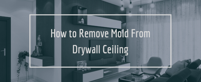 How to Banish Mold from Drywall: A Step-by-Step Guide