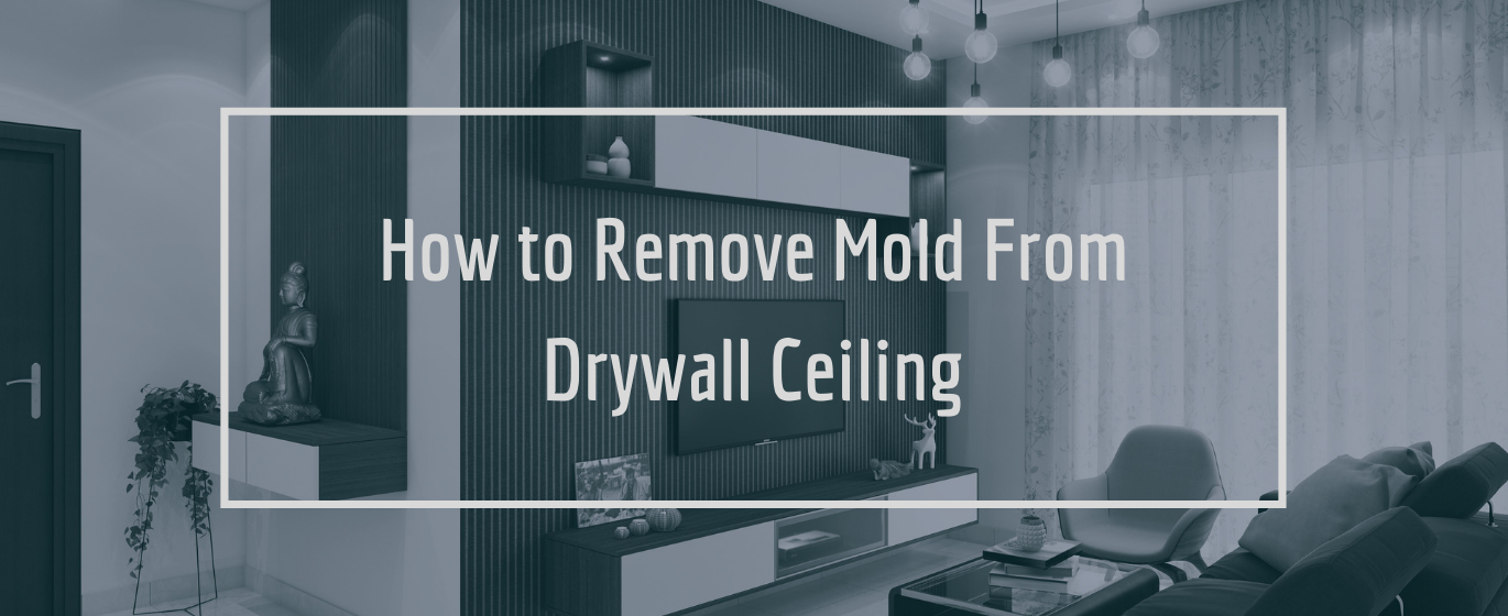 How to Clean Mold off of Drywall