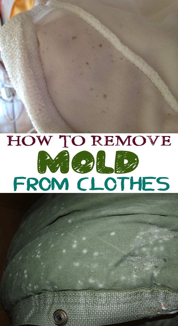 How to Clean Mold off of Fabric: Easy and Effective Techniques