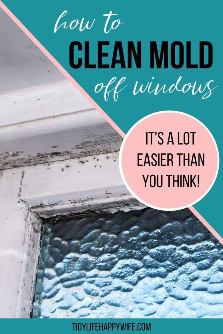 How to Clean Mold off of Rubber: Easy and Effective Solutions