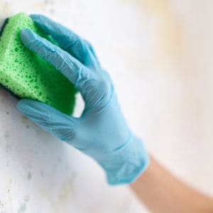 How to Clean Mold off Popcorn Ceiling