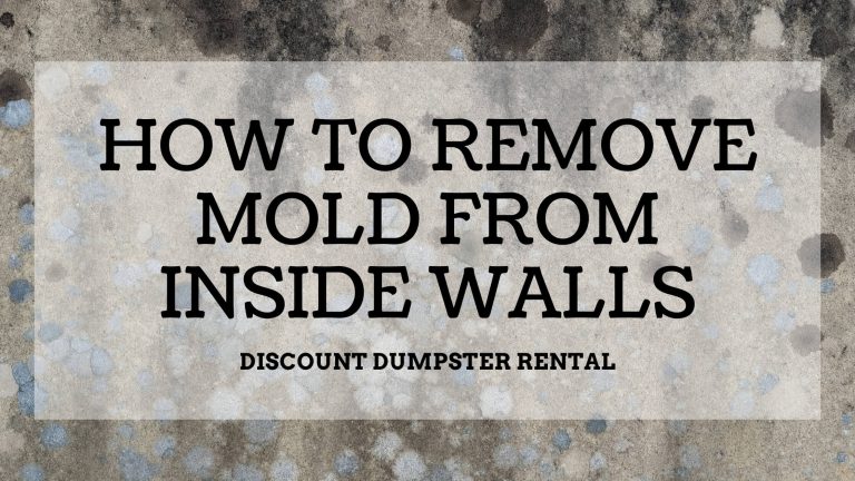 How to Safely Remove Mold from Sheetrock: Expert Tips!