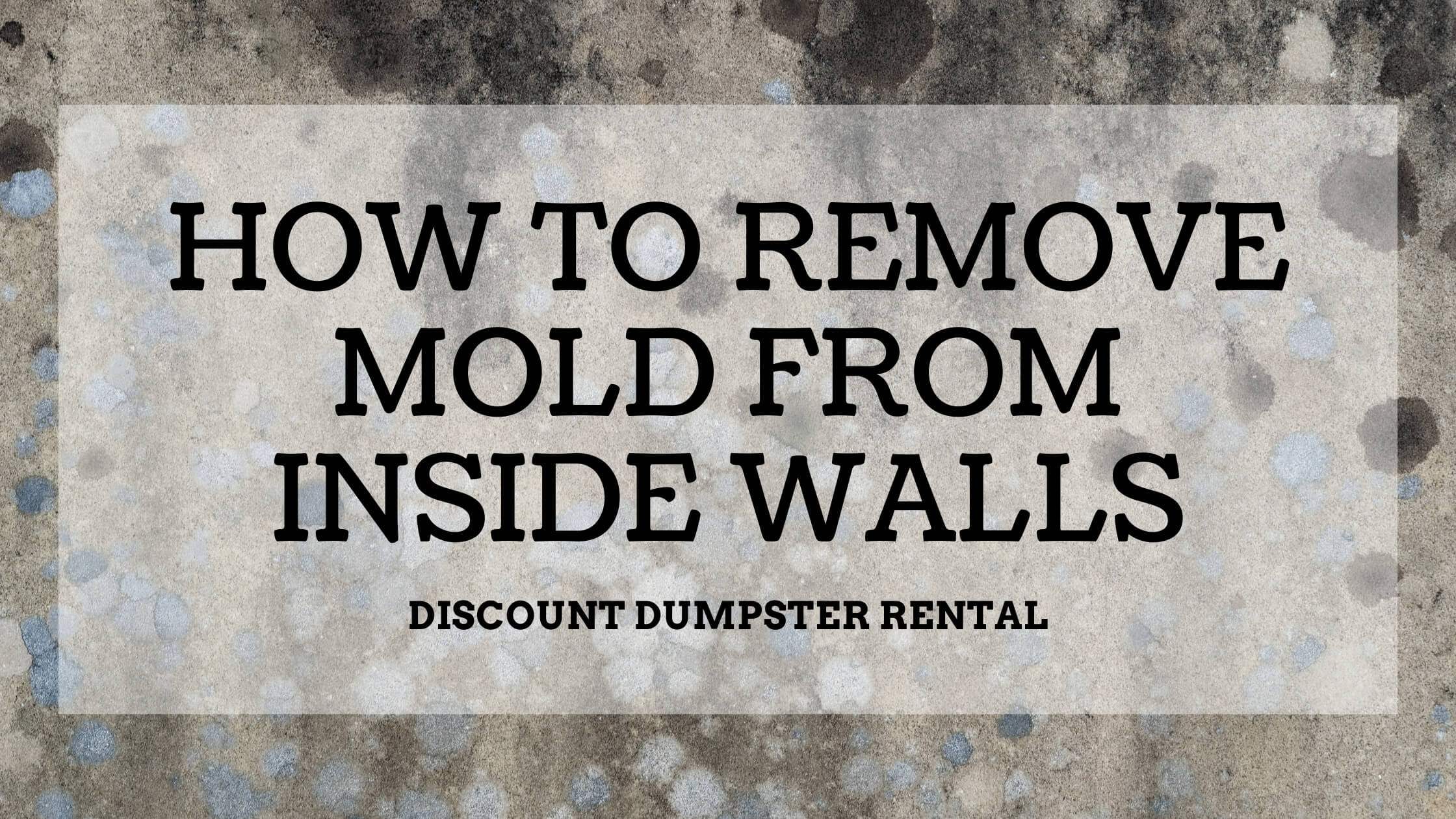 How to Clean Mold off Sheetrock