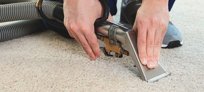 How to Clean Soiled Carpet